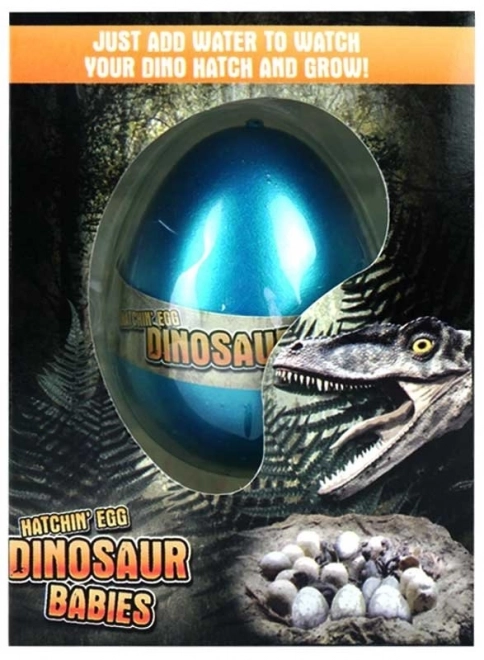 Growing Dinosaur Egg