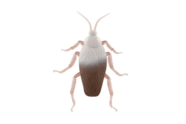 Antistress Cockroach Toy with Plastic/Silicone Body