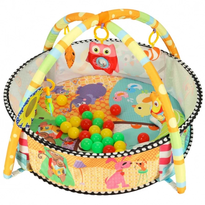 Educational Baby Play Mat with Playpen and Toys