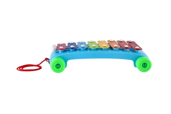 Colorful Children's Xylophone on Wheels