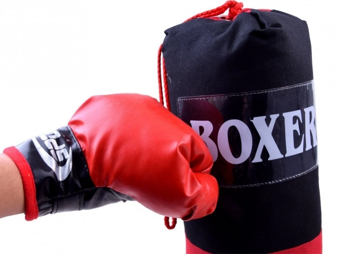 Boxing Set Gloves and Punch Bag