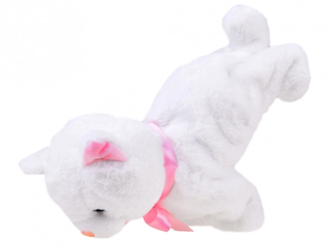 Interactive Cat Acrobat Toy