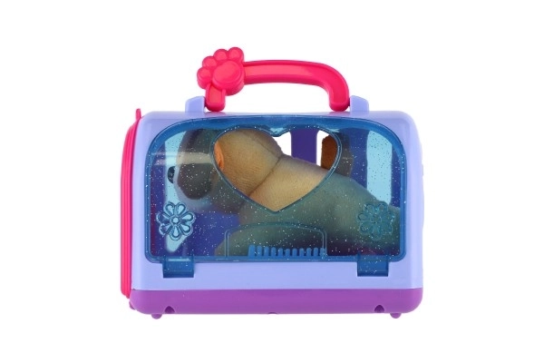 Doggy in a Transport Box with Accessories