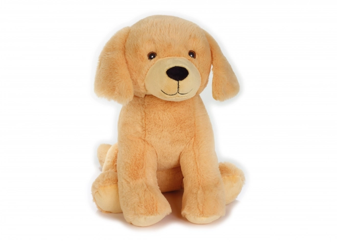 Golden Retriever Plush Toy