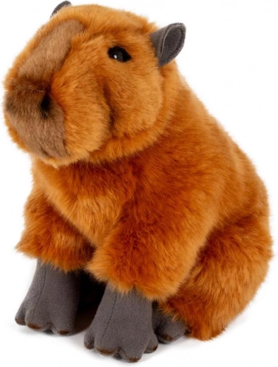 Morbida e coccolosa per ogni giorno