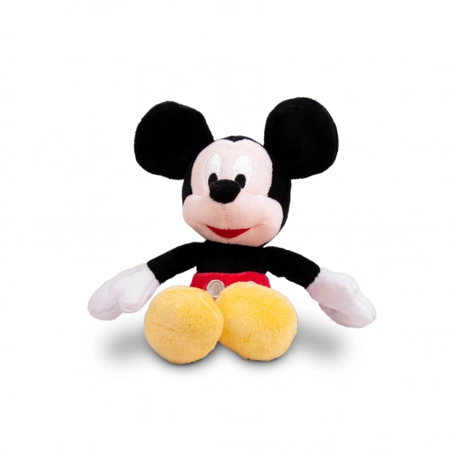 Mickey Plush Toy Display