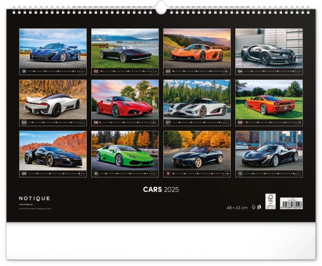 Cars Wall Calendar 2025