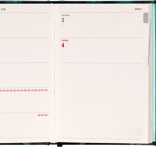 Agenda settimanale magnetica Monstera 2026, 11 x 16 cm