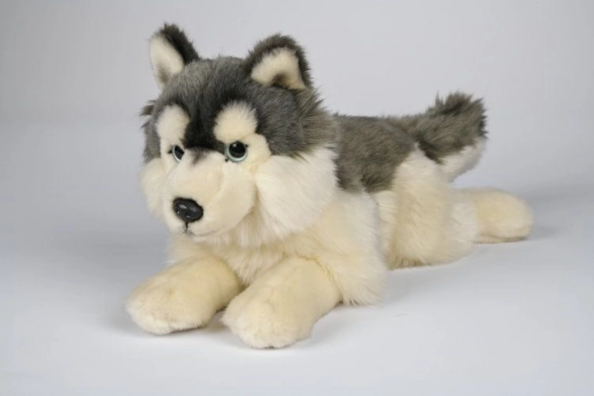 Plush Husky Toy