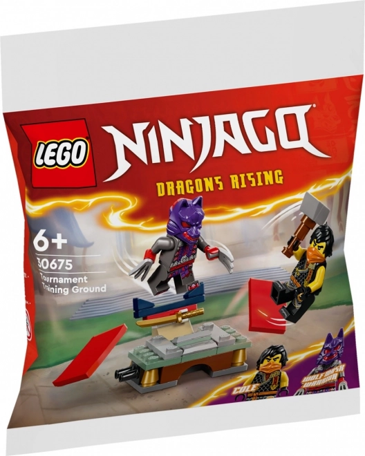 Ninjago Training Tournament Set