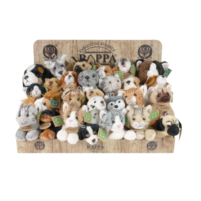 Exclusive Plush Dogs and Cats Eco-Friendly Display