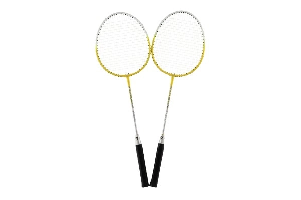 Deluxe Badminton Set