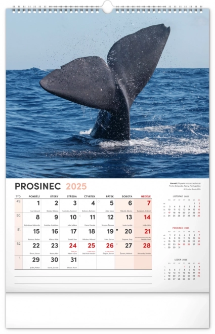 Notique Wall Calendar Most Interesting Animals 2025