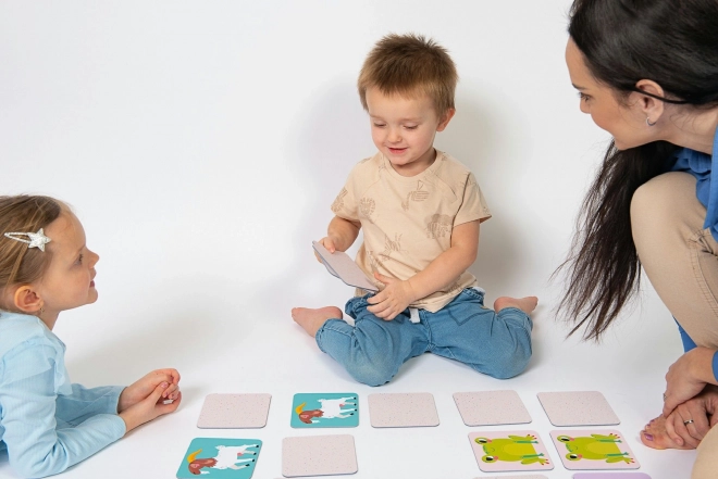 Large Memory Game Barnyard Animals