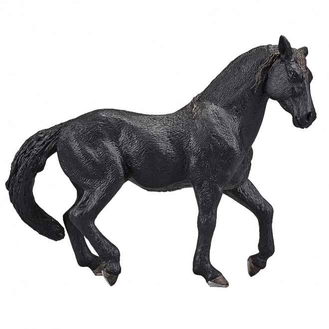 Mojo Andalusian Horse Black