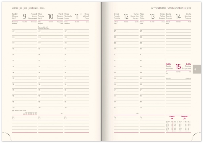 Weekly Planner Vellum 2025 Blue