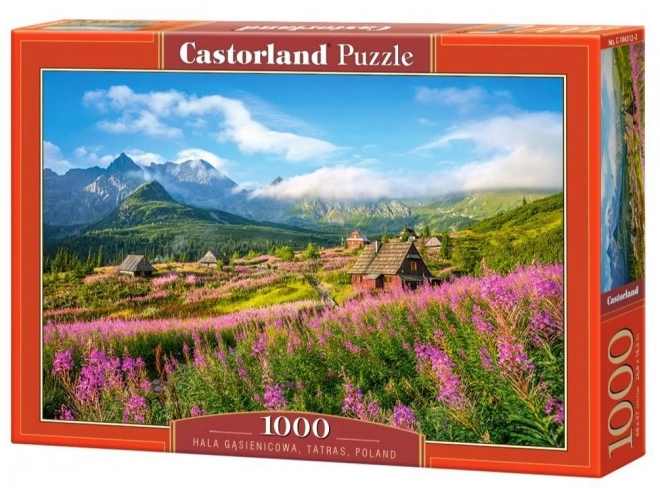 Puzzle 1000 Pieces Hala Gąsienicowa Tatras Poland