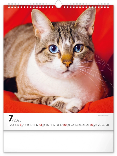 Wall Calendar Cats 2025