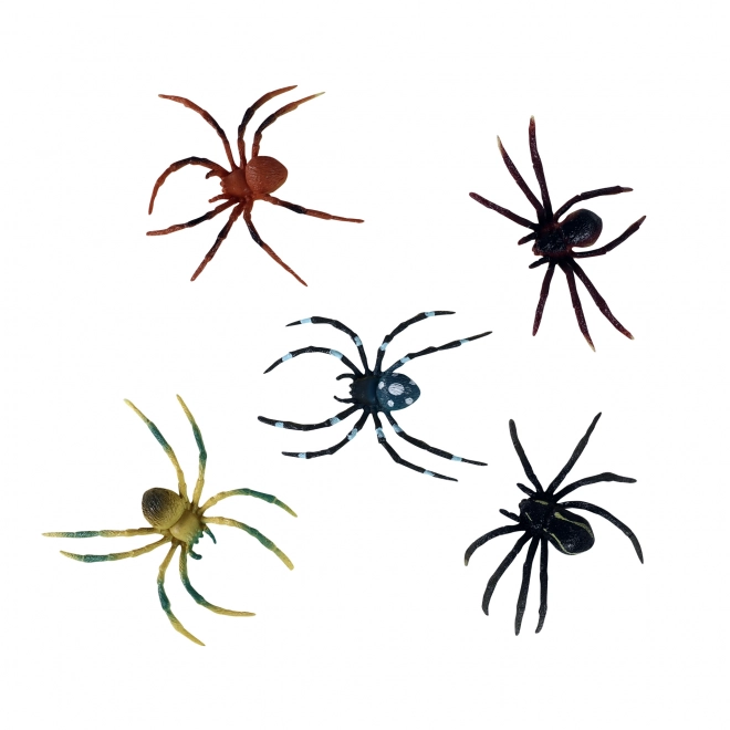 Colorful Spider Set