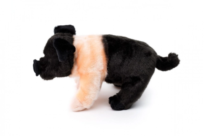 Plush Pig 25cm