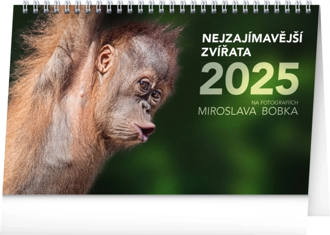 Desk Calendar Interesting Animals 2025