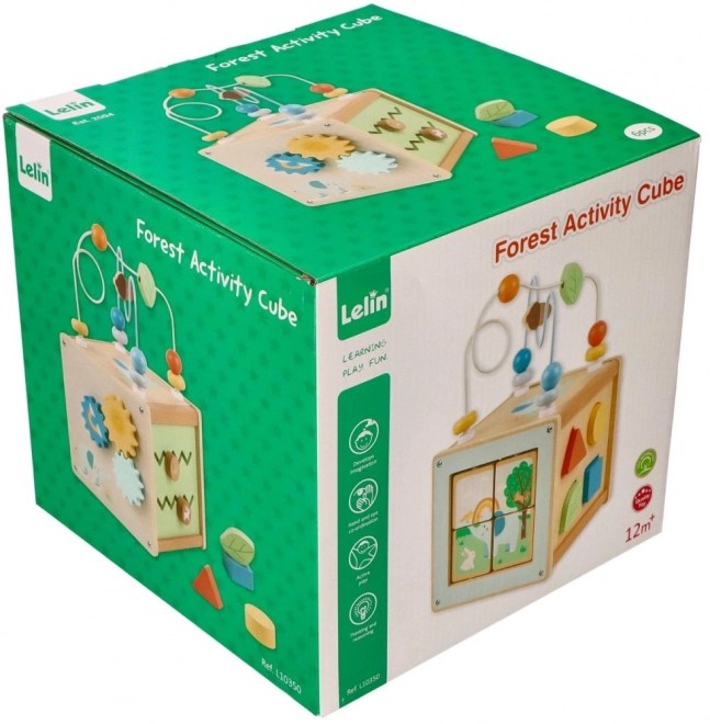 Activity Cube with Motor Loop