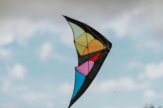 Dragon Sports Kite