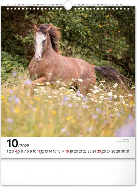 Vægkalender Heste 2026