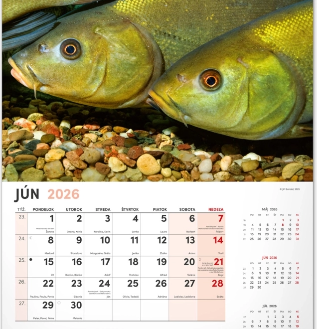 Wall Calendar Fishing 2026