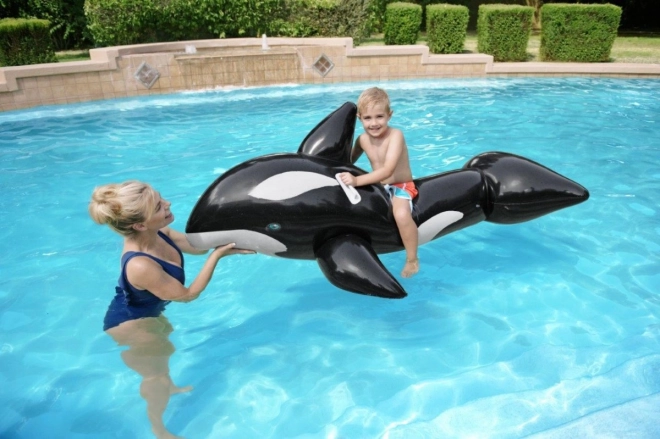 Inflatable Orca for Kids