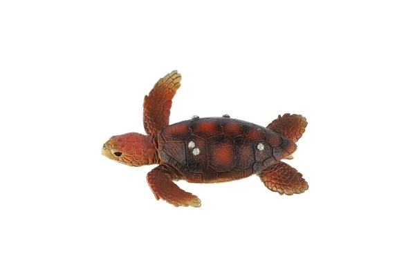 Loggerhead Turtle Toy