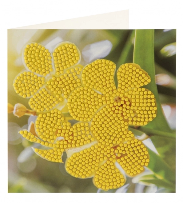 Stone Painting Diamond Cards 2 pcs 13x13 cm