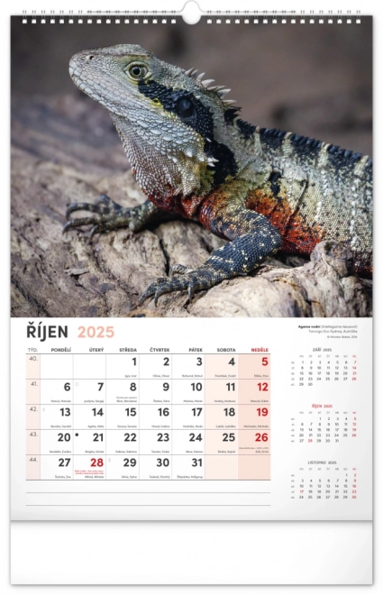 Notique Wall Calendar Most Interesting Animals 2025