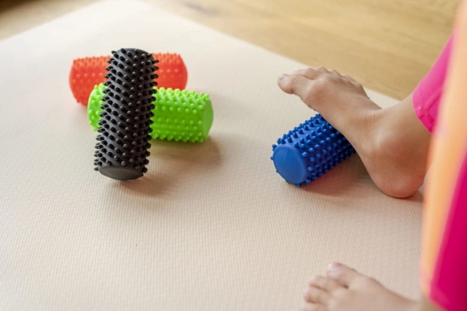 Black Massage and Rehabilitation Roller