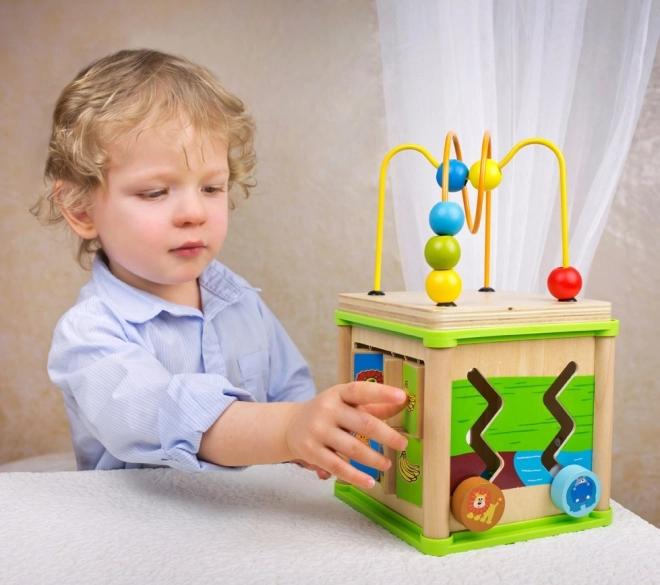 Bino Activity Cube 5 in 1