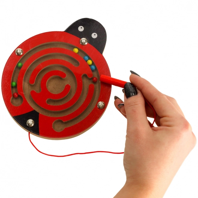 Magnetic Ladybug Maze