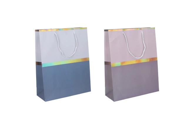 Gift Bag Small 18x24x8.5 cm All-year Use