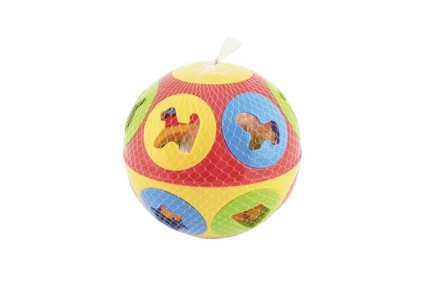 Shape Sorting Ball Toy