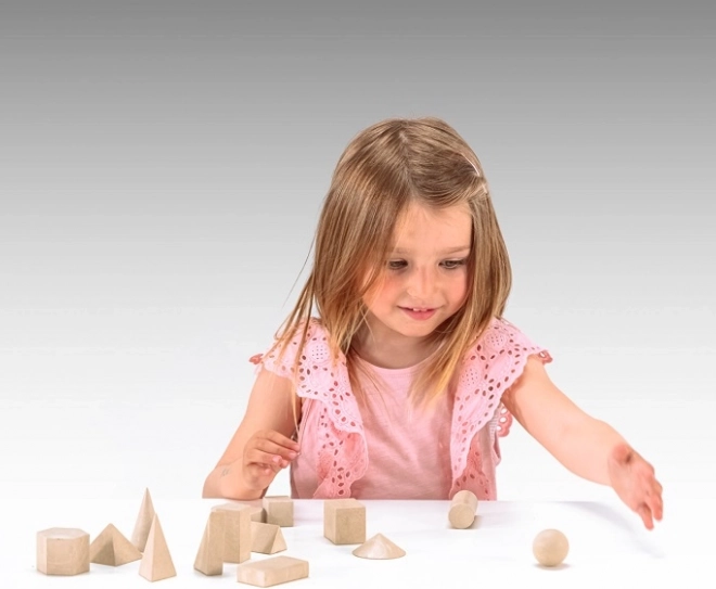 Set di figure geometriche in legno