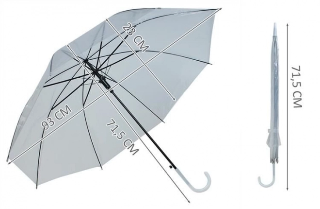 Transparent Automatic Umbrella