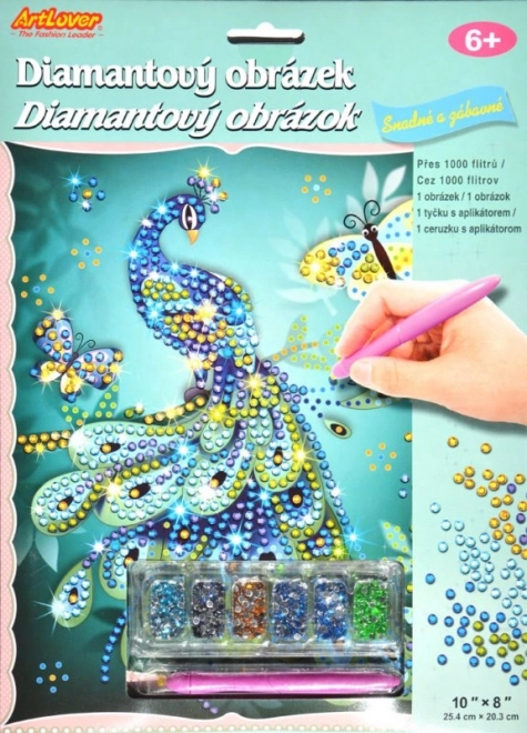 Diamond Painting with Accessories