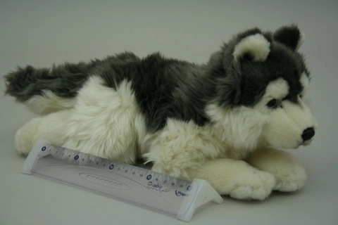 Plush Husky Toy