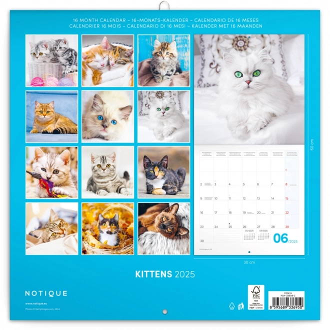 Notique Kittens Wall Calendar 2025