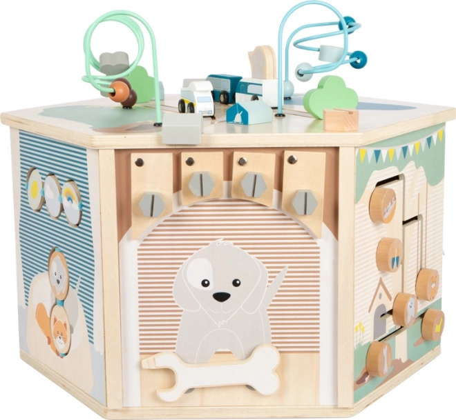 Motor Activity Cube Pets XXL