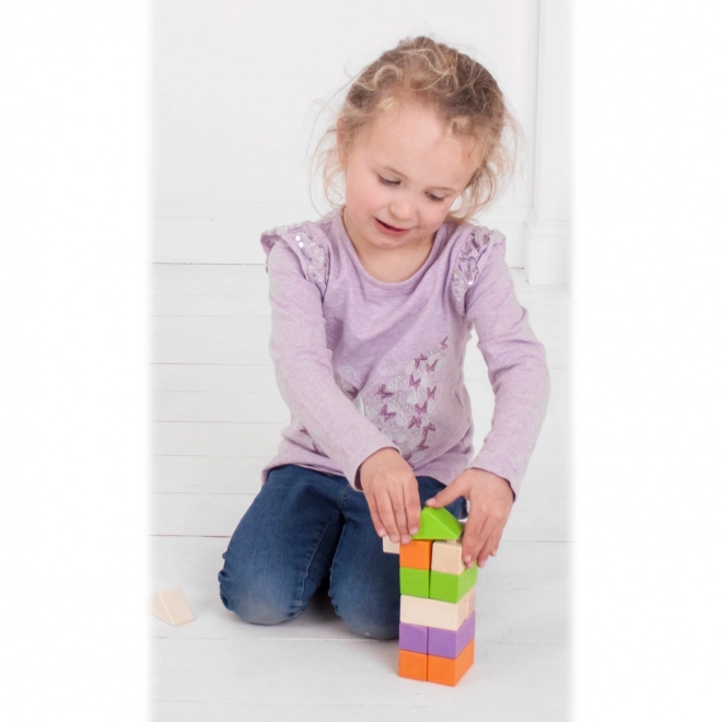 Bigjigs Baby Wooden Connecting Blocks Set