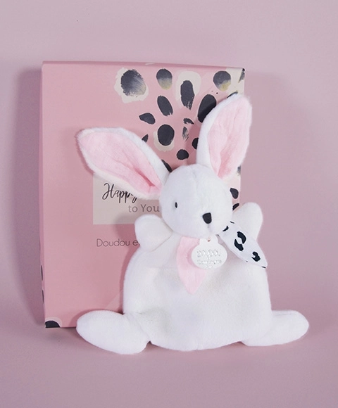 Pink Plush Rabbit Gift Box