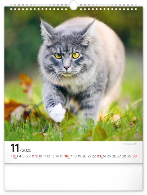 Wall Calendar Cats 2025