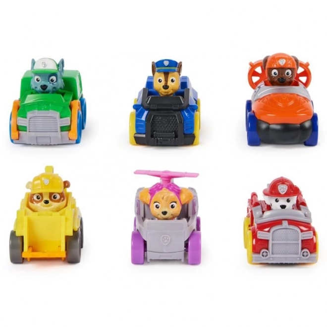 Paw Patrol Mini Racer Gift Set