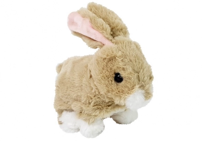 Interactive Cream Bunny Toy with Sound and Ear Movement