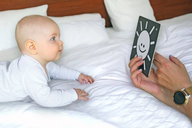 Large High-Contrast Cards for Babies